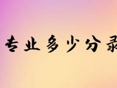 空乘專業(yè)多少分錄??？